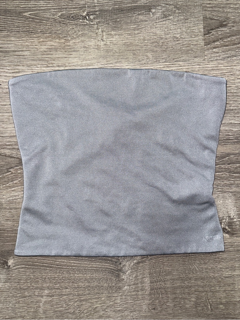 Aritzia Contour Metallic Tube Top Platinum Chrome S